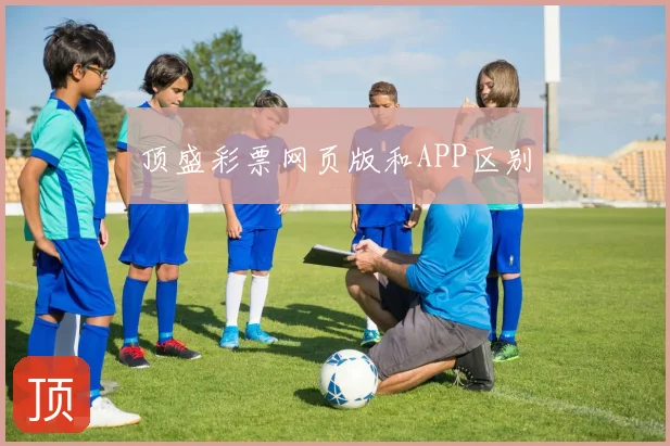 顶盛彩票网页版和APP区别
